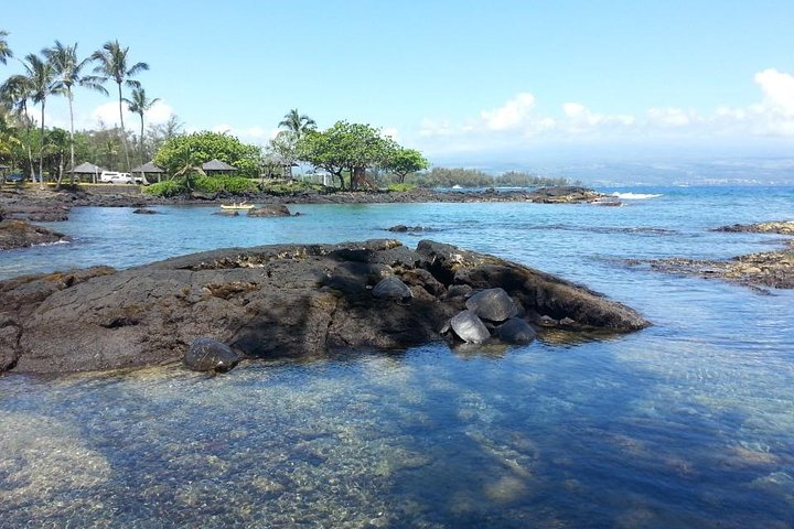 Volcanoes Adventure Tour from Hilo - Image 5