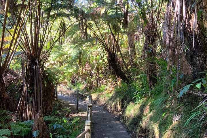Volcanoes National Park - from Kona  - Image 5