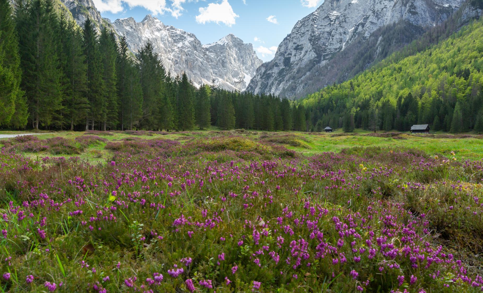 Hiking in Dragonja Valley - Image 1