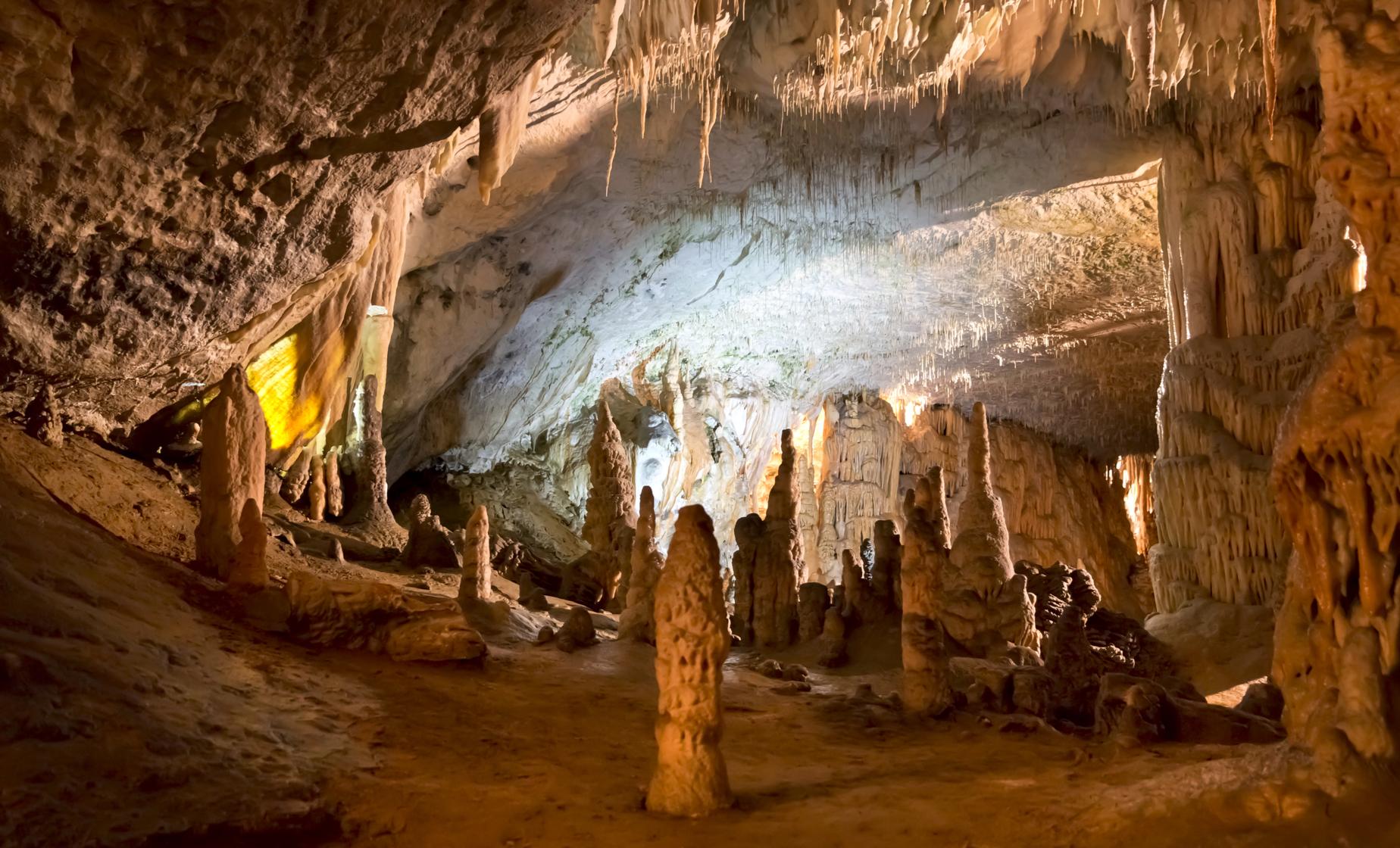 Private Tour of Postojna Cave and Ljubljana - Image 1