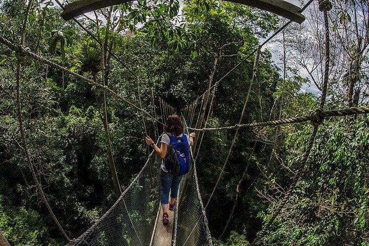 Full-Day Kinabalu Park and Poring Hot Spring Day Trip - Image 2