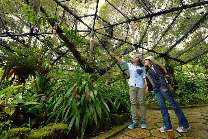 Full-Day Kinabalu Park and Poring Hot Spring Day Trip - Image 1