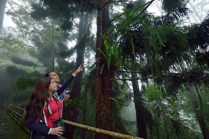 Full-Day Kinabalu Park and Poring Hot Spring Day Trip - Image 3