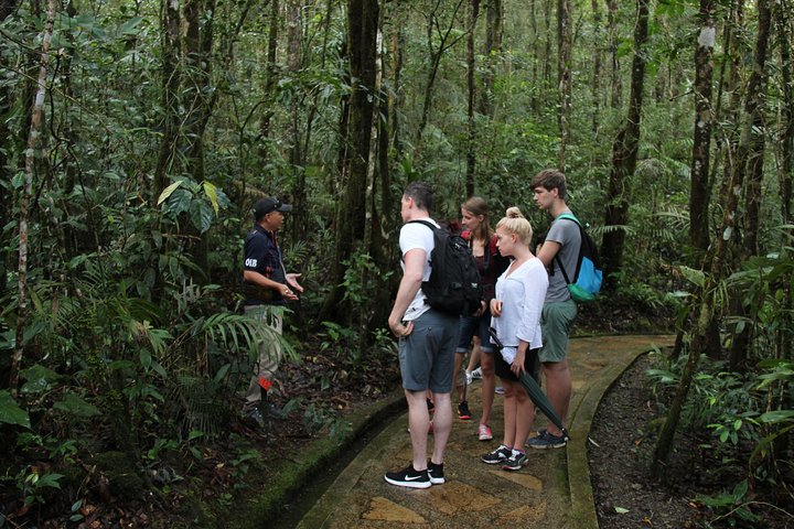 National (Kinabalu Park) & Poring Hotspring Tour - Image 1