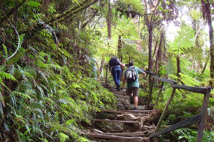 Private Full Day Kinabalu National Park Tour with Canopy Walk Including Lunch - Image 2