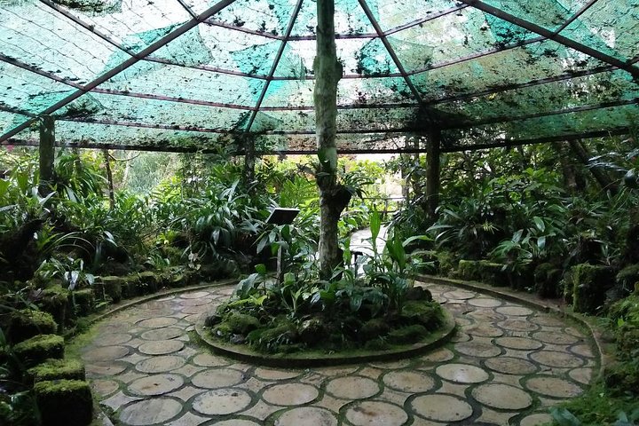 Private Full Day Kinabalu National Park Tour with Canopy Walk Including Lunch - Image 5