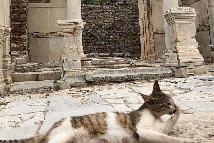 Full Day Ephesus & Temple of Artemis Tour from Izmir - Image 1