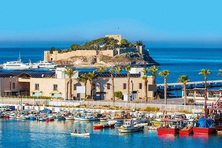 Kusadasi Shore Excursion: Private Full-Day Tour to Ephesus, Didyma and Miletus - Image 5
