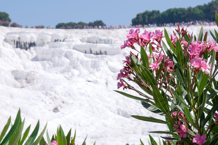 Pamukkale Day Tour from Selcuk - Image 1