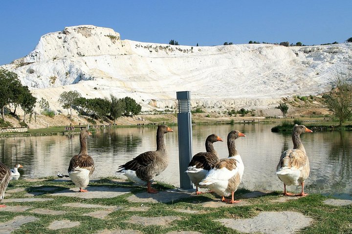 Pamukkale-Small Group Tour- from Kusadasi - Image 4