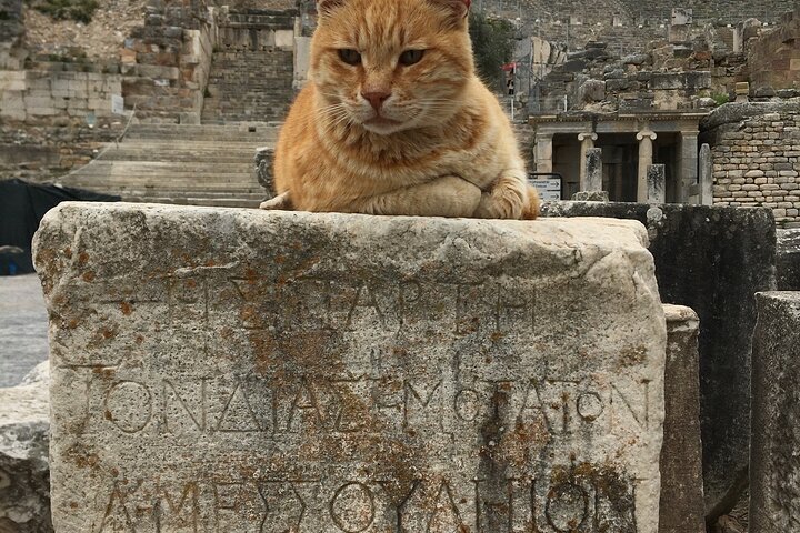 Private Ephesus Tour from İzmir Çeşme Port/Hotels  - Image 4