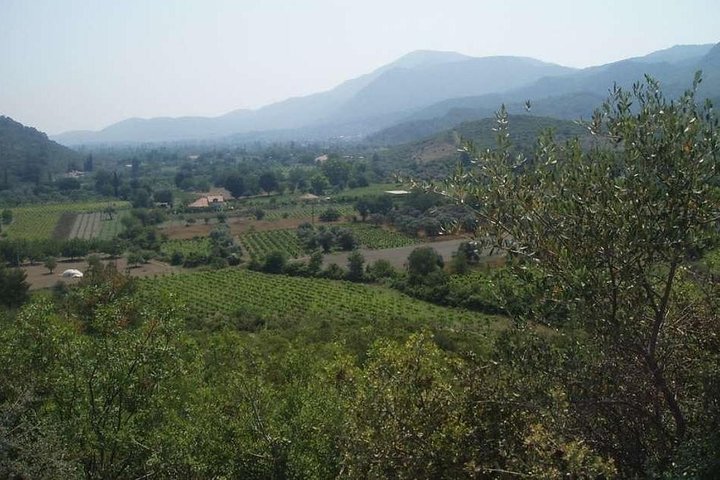 Private Tour from Kusadasi Port to Ephesus and Kirazli Village - Image 4