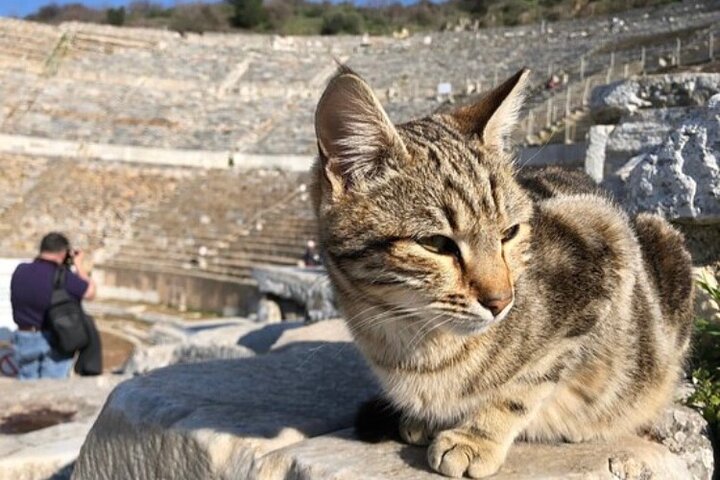 Private Tour : Magnificent Ephesus and Turkish Village Life Tour for Cruisers - Image 4