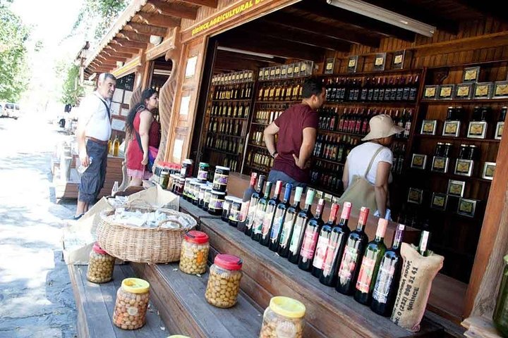 Shore Excursion Sirince Village & Ephesus Low Cost - Image 1