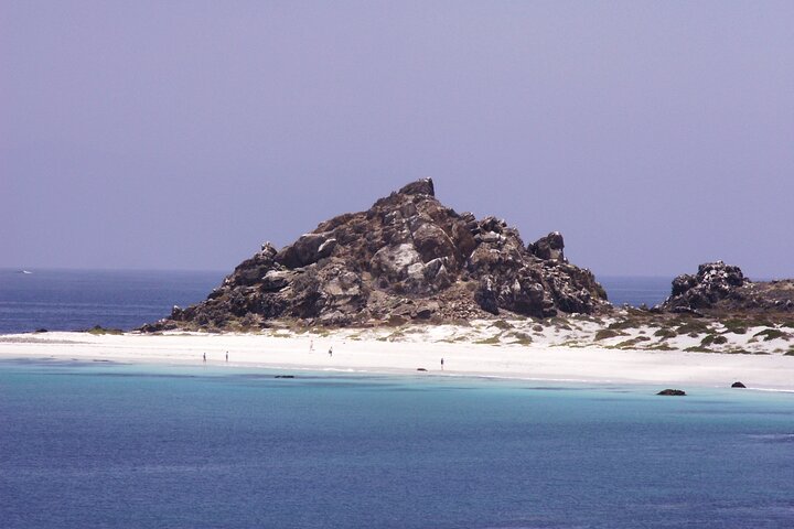 Dama Island or Chañaral Navigation Tour Humboldt Penguin Reserve - Image 1