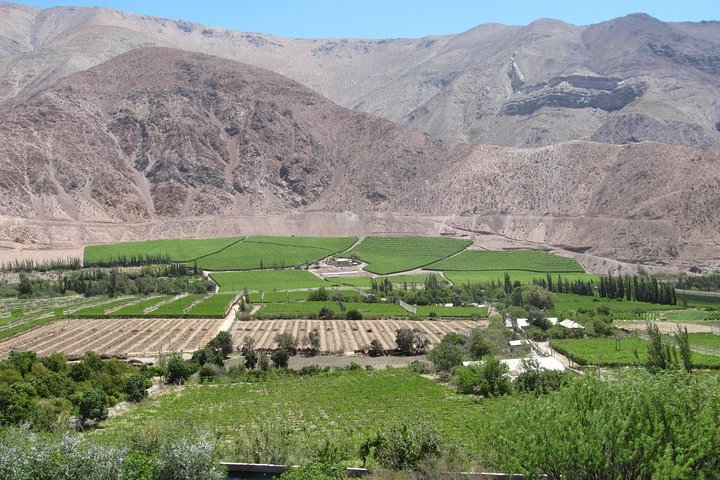 Elqui Valley and Vicuña Private Tour Including Lunch - Image 3