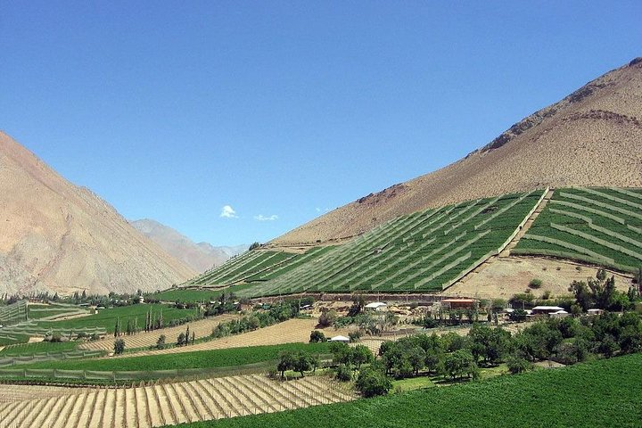 Elqui Valley and Vicuña Private Tour Including Lunch - Image 2
