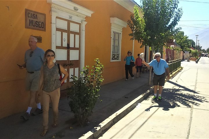Elqui Valley and Vicuña Private Tour Including Lunch - Image 4