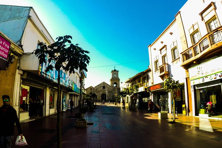 La Serena and Coquimbo Private City Tour Including Lunch, Shore Excursion - Image 4