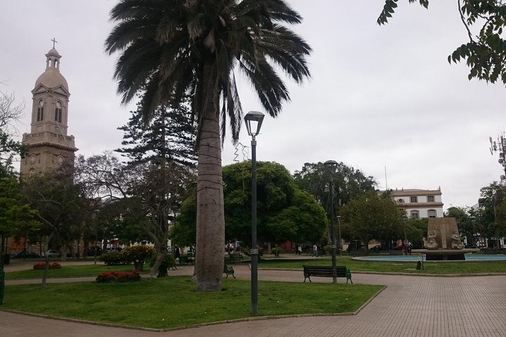 La Serena & Coquimbo City Tour - Short excursion for cruise ships - Image 2