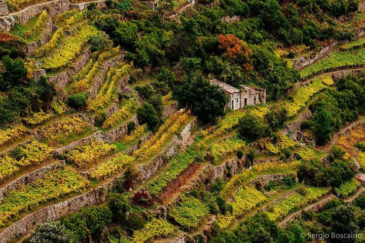 Cinque Terre: a dream sea - Image 3
