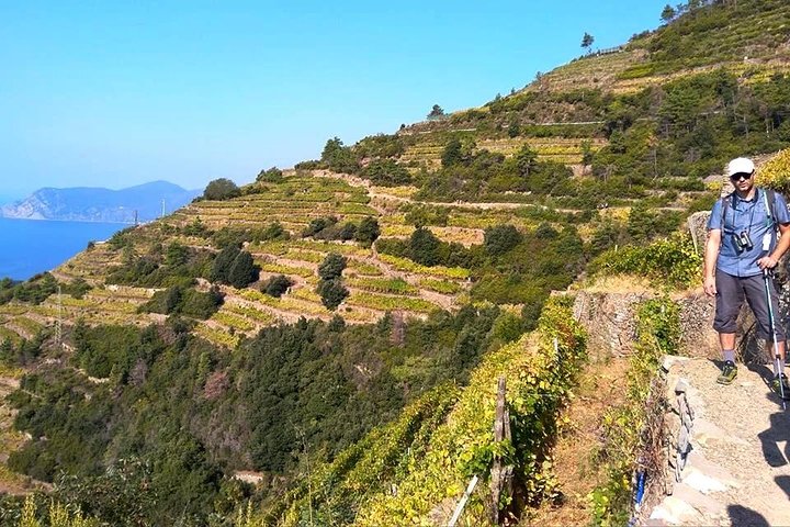 Cinque Terre: a dream sea - Image 5