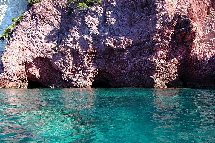Daily Tour 5 Terre - Image 2