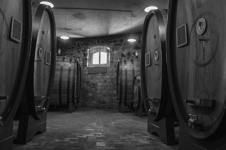 Day trip from La Spezia pier: San Gimignano and wine tasting - private tour - Image 3