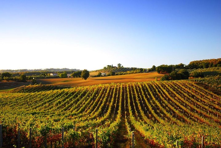 Day trip from La Spezia pier: San Gimignano and wine tasting - private tour - Image 1