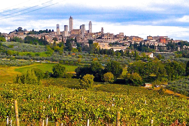 Day trip from La Spezia pier: San Gimignano and wine tasting - private tour - Image 4