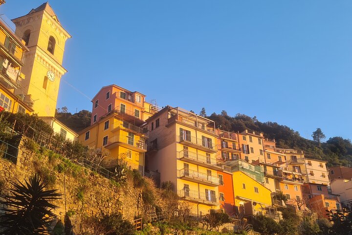 Guided Day to the Pearls of the Cinque Terre - Image 1