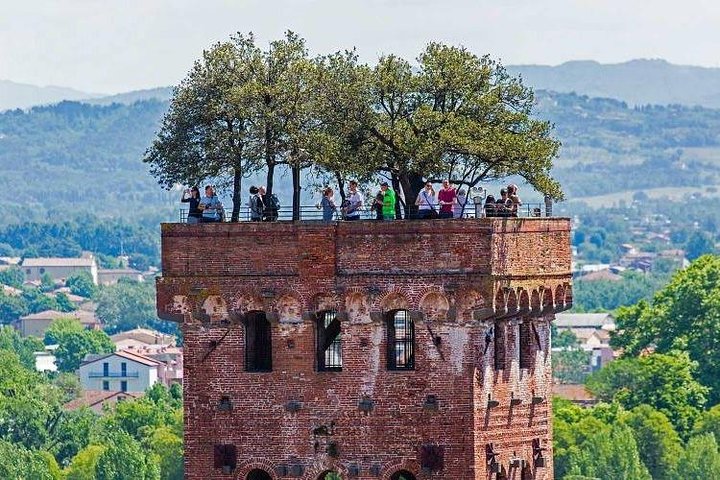 Pisa & Lucca Private Tour from La Spezia port - Image 3