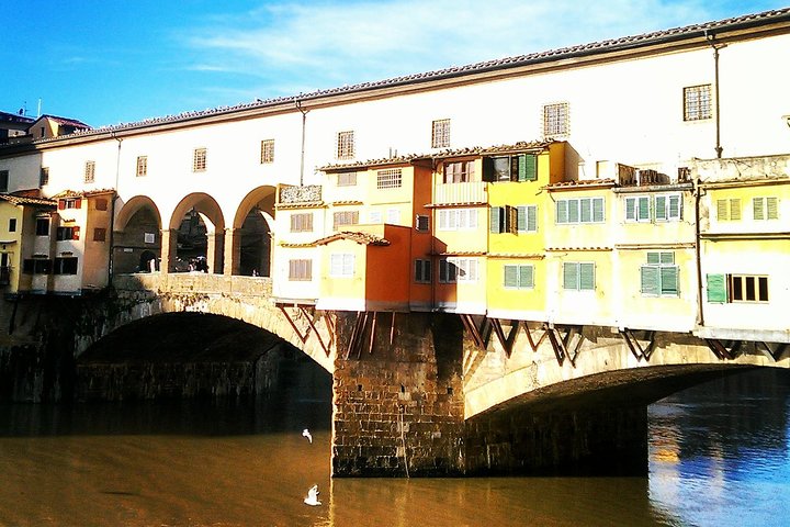 Private Florence and David or Uffizi from La Spezia - Image 1