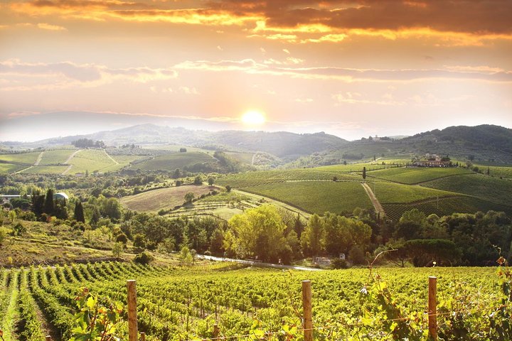 Private Pisa, Pasta and Chianti Lovers Wine Experience from La Spezia - Image 2