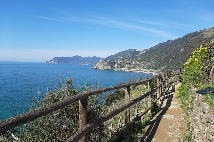 Uniquely classic Cinque Terre - Image 5