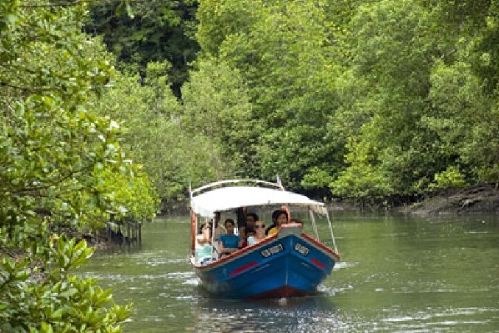Combo - Cable Car & Sky Bridge And Tg. Rhu Mangrove Private Boat Tour With Lunch - Image 3