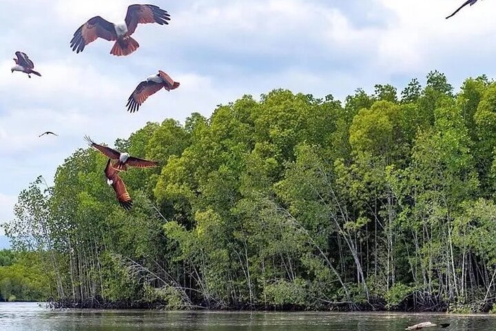 Combo - Cable Car & Sky Bridge And Tg. Rhu Mangrove Private Boat Tour With Lunch - Image 4