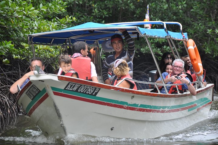 Full-Day Mangrove Safari Boat Tour in Langkawi - Image 1