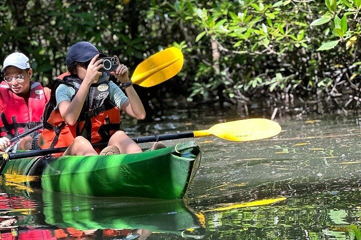 Kayaking Kilim Mangrove Geoforest - Image 3