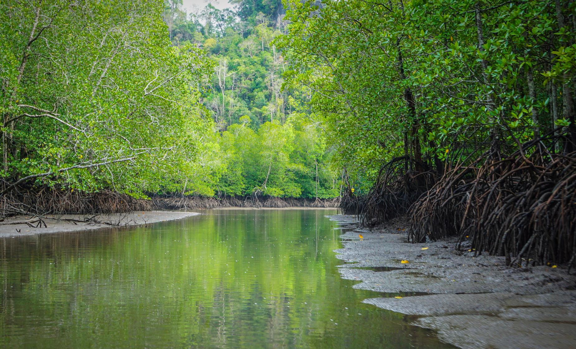 Kilim Kayak Adventure - Image 1