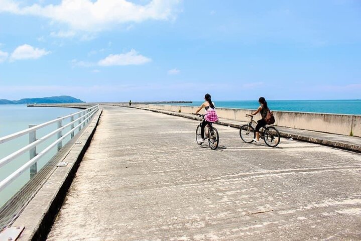 Private Half Day Cycling Tour in Langkawi - Image 1
