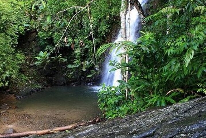 Private One Day Highlights Langkawi Tour Including Cable Car And Sky Bridge  - Image 2