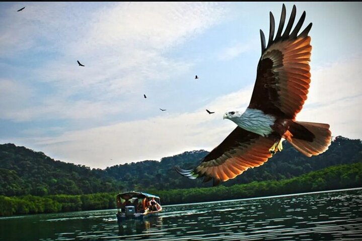 Private Tg Rhu Mangrove Forest Boat Tour With Lunch on A Floating Restaurant - Image 1