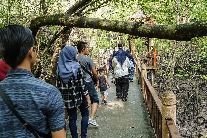 Private Tour : Langkawi Mangrove Kilim UNESCO Geopark & Cave Exploration - Image 4