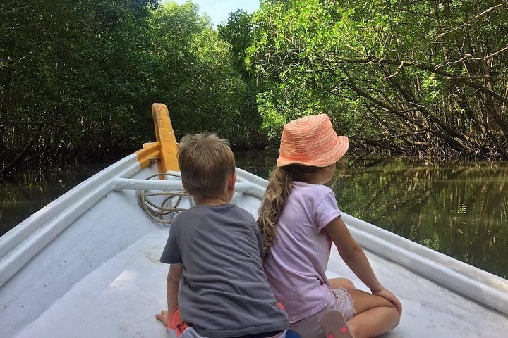 Private Tour : Langkawi Mangrove Kilim UNESCO Geopark & Cave Exploration - Image 2