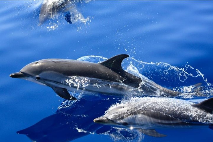 2.5-hour Lanzarote Sunset Cruise from Marina Puerto del Carmen - Image 4
