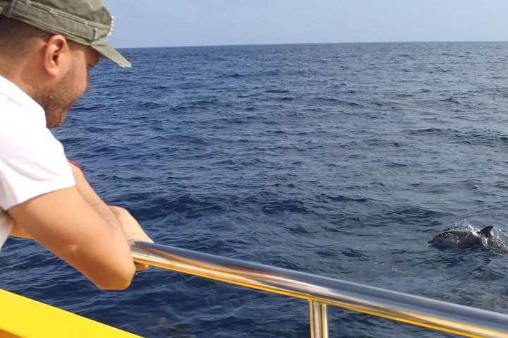 2.5-hour Lanzarote Sunset Cruise from Marina Puerto del Carmen - Image 5