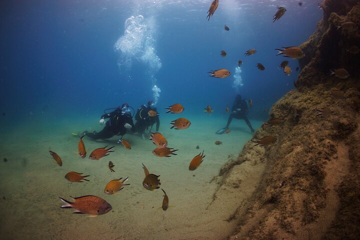 Beginner dive from Playa Chica with Instructor - Image 3