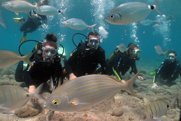 Beginner dive from Playa Chica with Instructor - Image 2