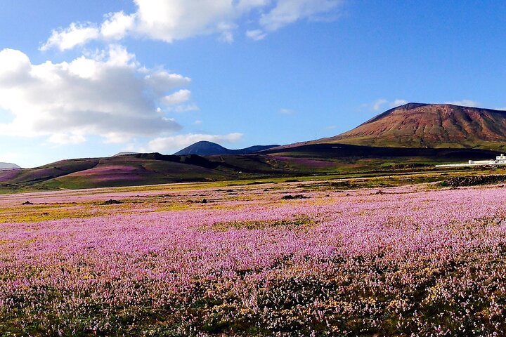 Customized Private Tours of Lanzarote island  - Image 1